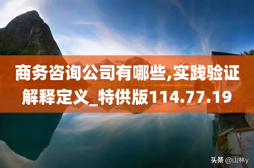 商务咨询公司有哪些,实践验证解释定义_特供版114.77.19