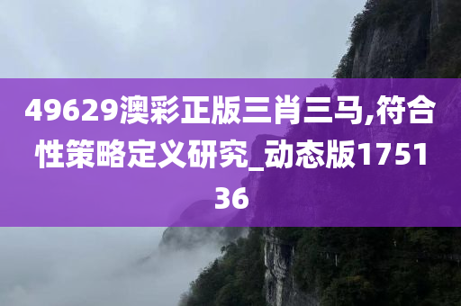 49629澳彩正版三肖三马,符合性策略定义研究_动态版175136