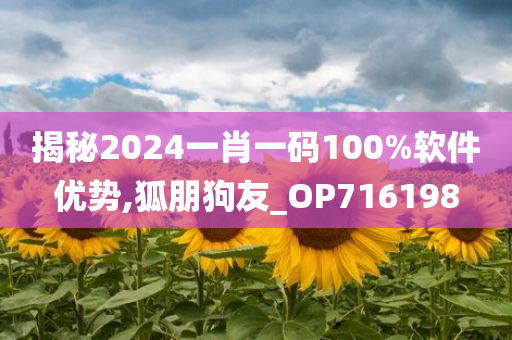 揭秘2024一肖一码100%软件优势,狐朋狗友_OP716198