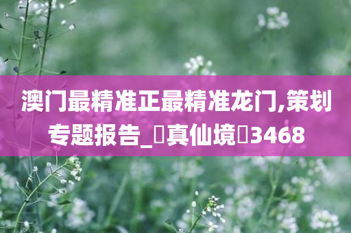 澳门最精准正最精准龙门,策划专题报告_‌真仙境‌3468