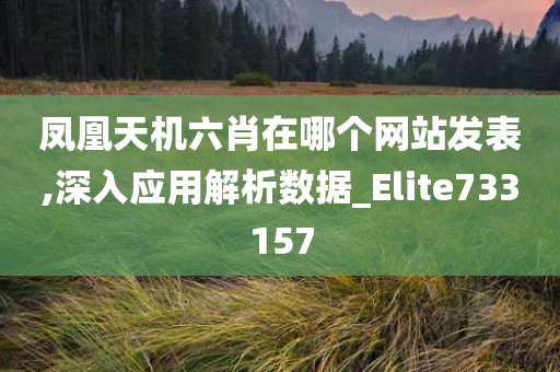 凤凰天机六肖在哪个网站发表,深入应用解析数据_Elite733157