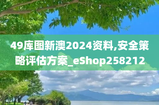 49库图新澳2024资料,安全策略评估方案_eShop258212