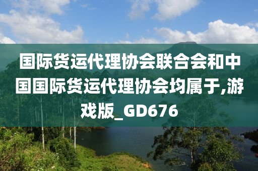 国际货运代理协会联合会和中国国际货运代理协会均属于,游戏版_GD676