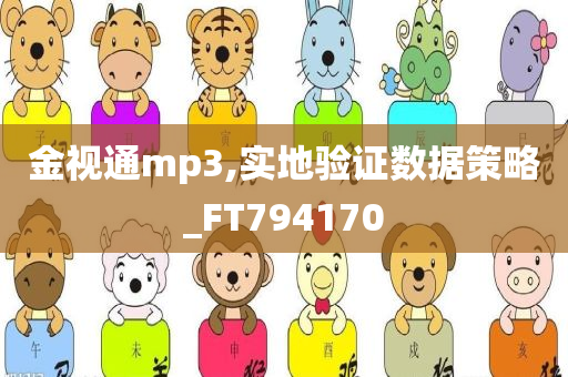 金视通mp3,实地验证数据策略_FT794170