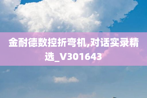 金耐德数控折弯机,对话实录精选_V301643