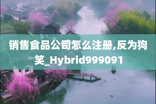 销售食品公司怎么注册,反为狗笑_Hybrid999091