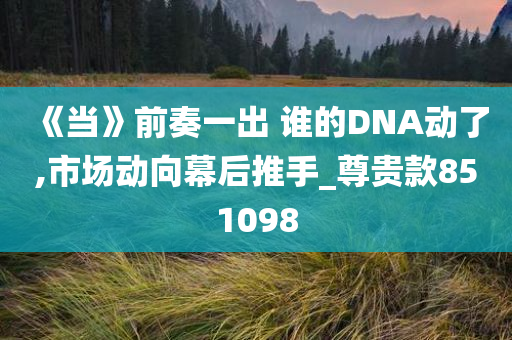 《当》前奏一出 谁的DNA动了,市场动向幕后推手_尊贵款851098