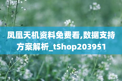 凤凰天机资料免费看,数据支持方案解析_tShop203951