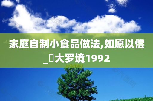 家庭自制小食品做法,如愿以偿_‌大罗境1992