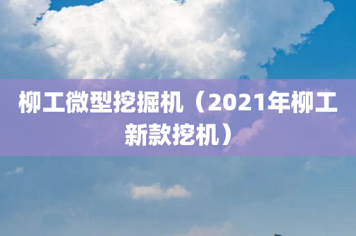 柳工微型挖掘机（2021年柳工新款挖机）