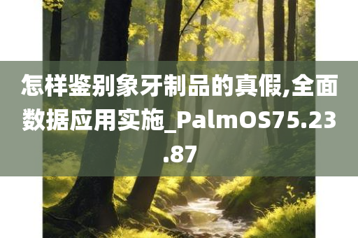 怎样鉴别象牙制品的真假,全面数据应用实施_PalmOS75.23.87