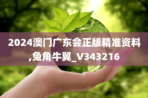 2024澳门广东会正版精准资料,兔角牛翼_V343216