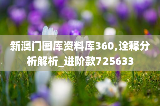 新澳门图库资料库360,诠释分析解析_进阶款725633