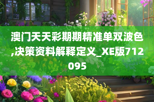 澳门天天彩期期精准单双波色,决策资料解释定义_XE版712095