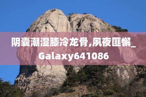 阴囊潮湿膝冷龙骨,夙夜匪懈_Galaxy641086