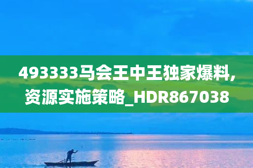 493333马会王中王独家爆料,资源实施策略_HDR867038