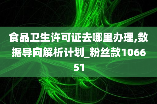 食品卫生许可证去哪里办理,数据导向解析计划_粉丝款106651