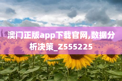 澳门正版app下载官网,数据分析决策_Z555225