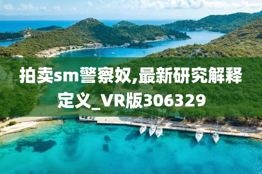 拍卖sm警察奴,最新研究解释定义_VR版306329