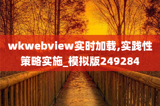 wkwebview实时加载,实践性策略实施_模拟版249284