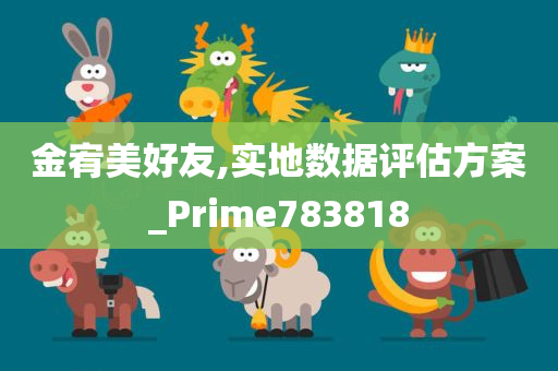 金宥美好友,实地数据评估方案_Prime783818