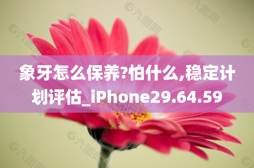 象牙怎么保养?怕什么,稳定计划评估_iPhone29.64.59