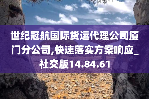 世纪冠航国际货运代理公司厦门分公司,快速落实方案响应_社交版14.84.61