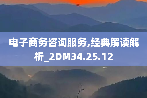 电子商务咨询服务,经典解读解析_2DM34.25.12