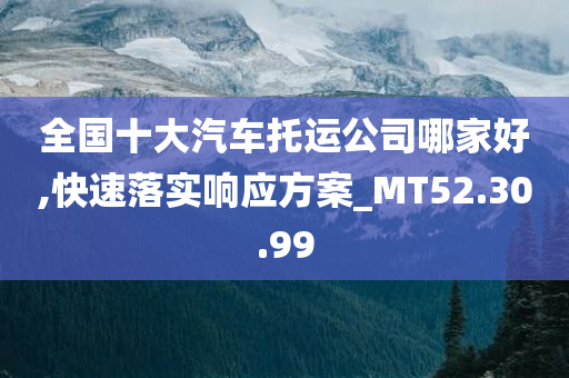 全国十大汽车托运公司哪家好,快速落实响应方案_MT52.30.99