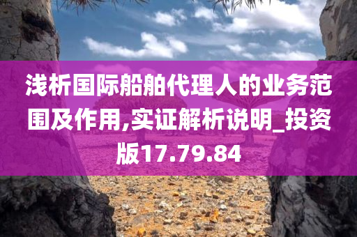 浅析国际船舶代理人的业务范围及作用,实证解析说明_投资版17.79.84