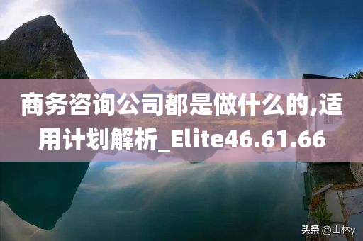 商务咨询公司都是做什么的,适用计划解析_Elite46.61.66