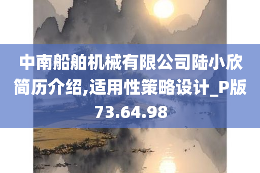 中南船舶机械有限公司陆小欣简历介绍,适用性策略设计_P版73.64.98