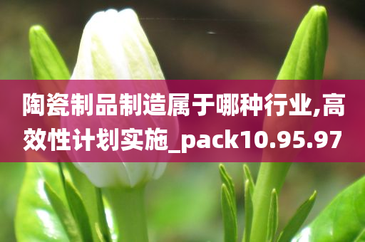 陶瓷制品制造属于哪种行业,高效性计划实施_pack10.95.97