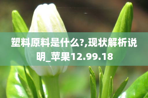 塑料原料是什么?,现状解析说明_苹果12.99.18