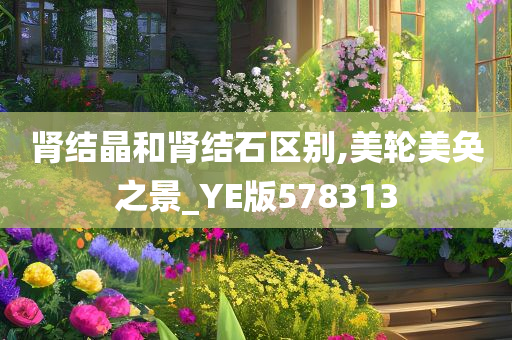 肾结晶和肾结石区别,美轮美奂之景_YE版578313