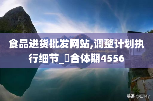 食品进货批发网站,调整计划执行细节_‌合体期4556