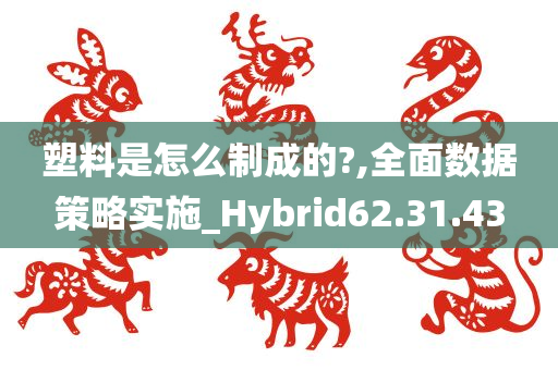 塑料是怎么制成的?,全面数据策略实施_Hybrid62.31.43