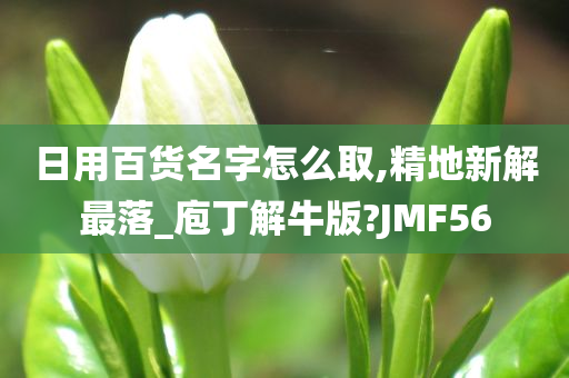 日用百货名字怎么取,精地新解最落_庖丁解牛版?JMF56