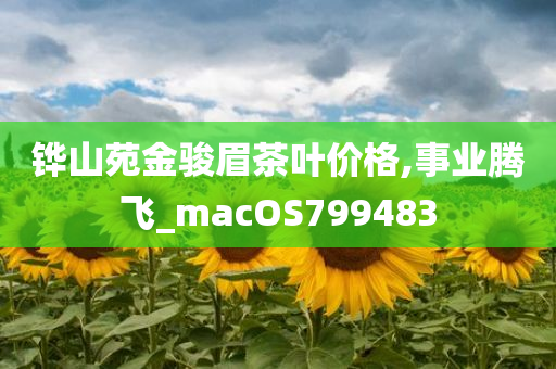 铧山苑金骏眉茶叶价格,事业腾飞_macOS799483