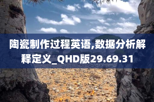 陶瓷制作过程英语,数据分析解释定义_QHD版29.69.31