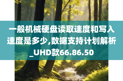 一般机械硬盘读取速度和写入速度是多少,数据支持计划解析_UHD款66.86.50