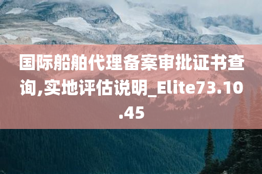 国际船舶代理备案审批证书查询,实地评估说明_Elite73.10.45