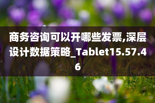 商务咨询可以开哪些发票,深层设计数据策略_Tablet15.57.46