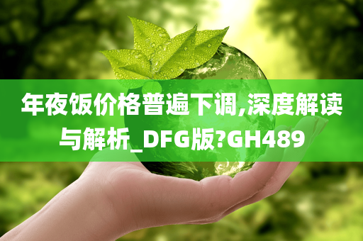 年夜饭价格普遍下调,深度解读与解析_DFG版?GH489