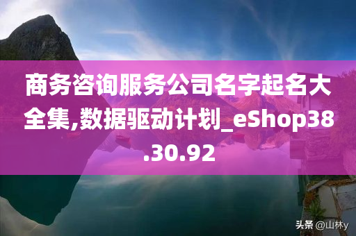 商务咨询服务公司名字起名大全集,数据驱动计划_eShop38.30.92