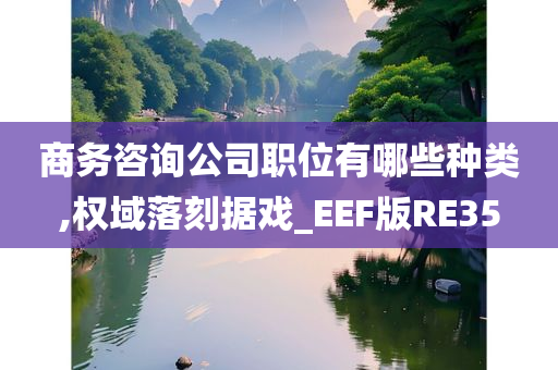 商务咨询公司职位有哪些种类,权域落刻据戏_EEF版RE35