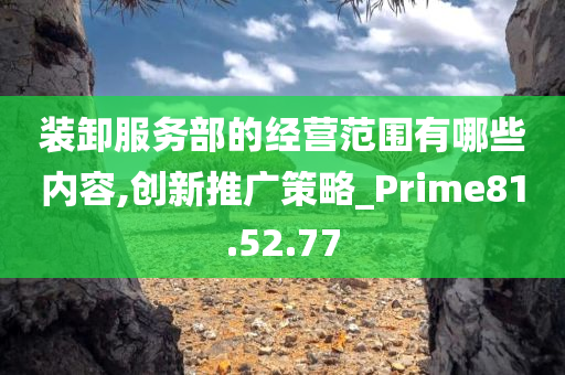 装卸服务部的经营范围有哪些内容,创新推广策略_Prime81.52.77