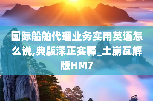 国际船舶代理业务实用英语怎么说,典版深正实释_土崩瓦解版HM7