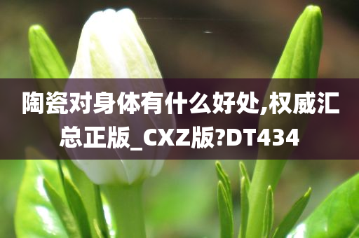 陶瓷对身体有什么好处,权威汇总正版_CXZ版?DT434