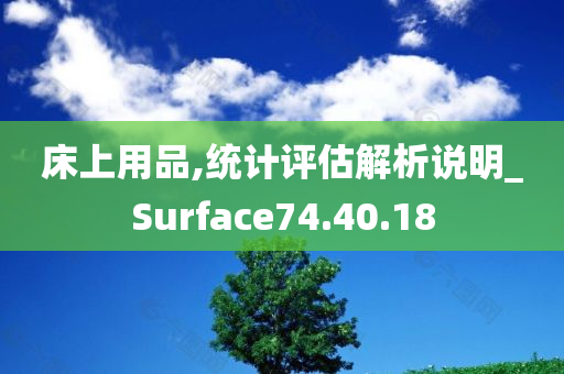 床上用品,统计评估解析说明_Surface74.40.18